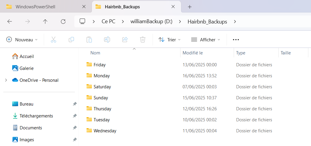backup